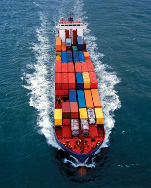 ce1ace31-34da-4f77-bd4e-74c09bbf35e5